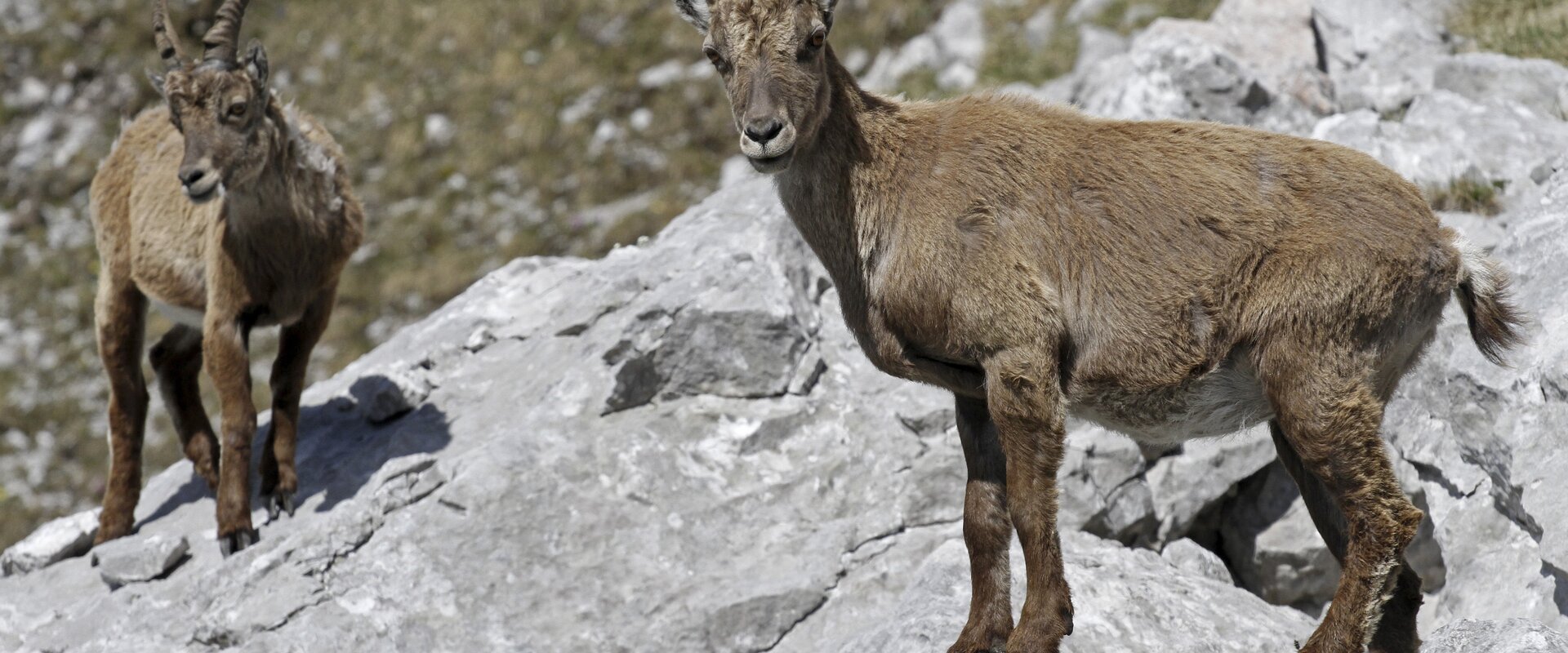 © Steiermark Tourismus | Herbert Raffalt