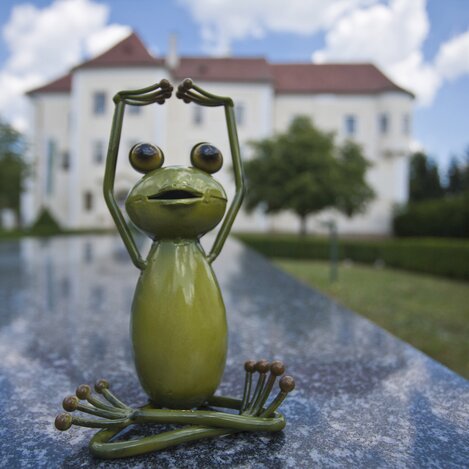 Steiermark-Wetterfrosch besucht das Schloss Burgau | © STG | Leo Himsl