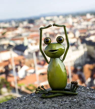 Steiermark-Wetterfrosch über den Dächern von Graz | © STG | Tom Lamm