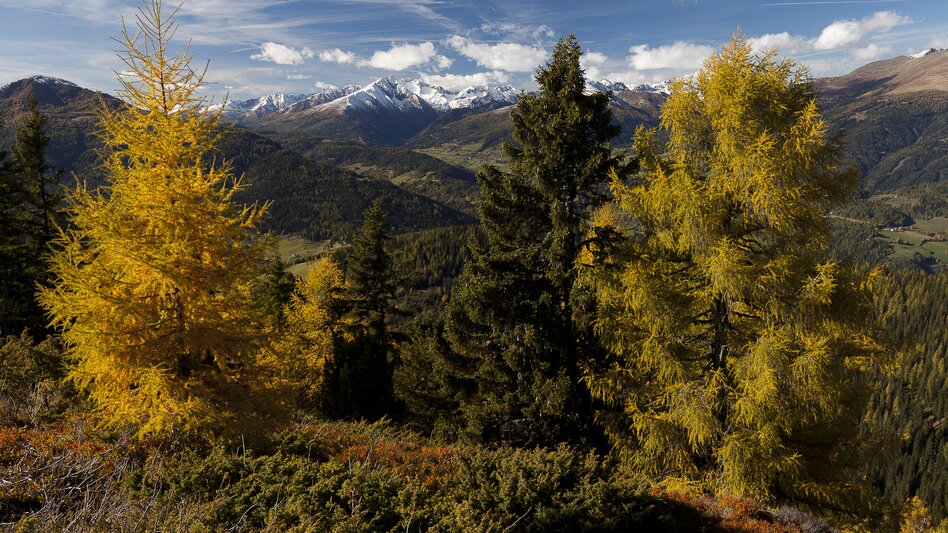 Kramerkogel near St. Georgen am Kreischberg in the autumn | © Steiermark Tourismus | Uwe Grinzinger