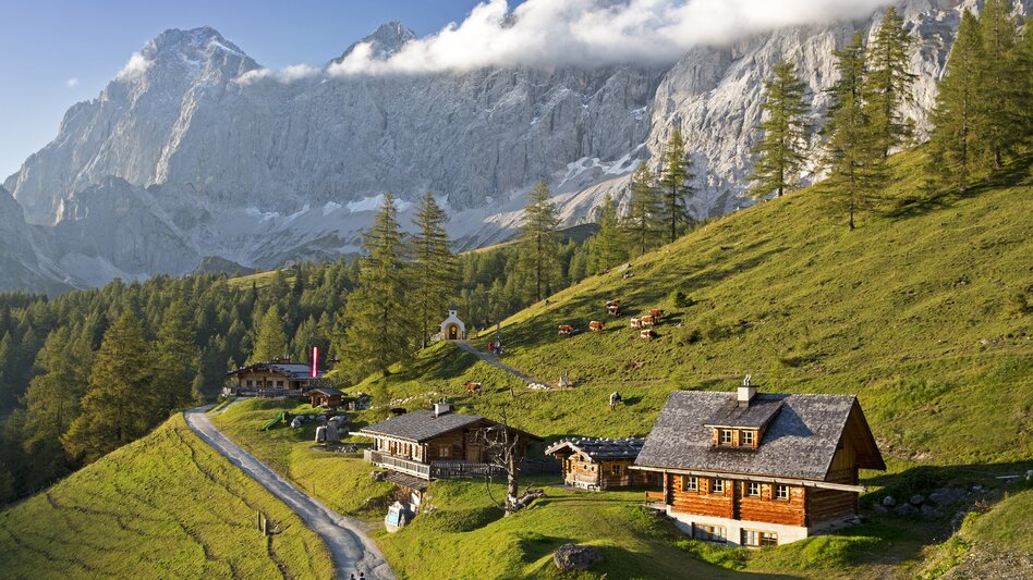 Alpine pasture at the Brandalm (Schladming-Dachstein) | © Steiermark Tourismus | Herbert Raffalt