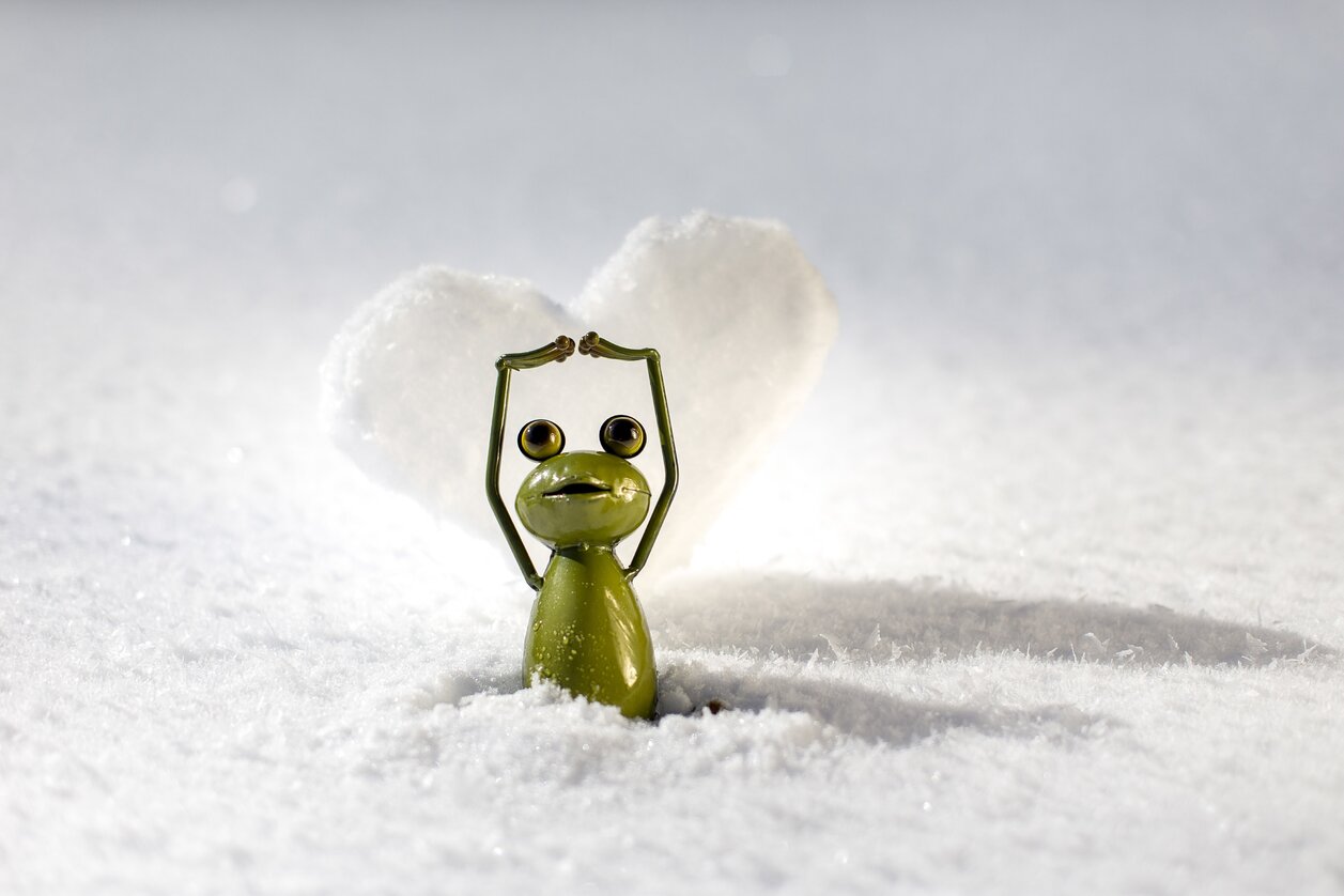 Steiermark-Wetterfrosch mit Grünem Herz im Winterkleid | © STG | Tom Lamm | Nur für Pressezwecke!