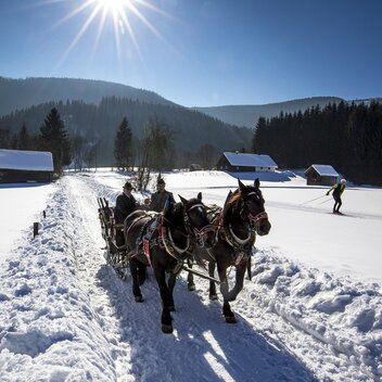 Ausseer Pferdekutsche mit Langläufer bei Bad Mitterndorf | © STG | Tom Lamm