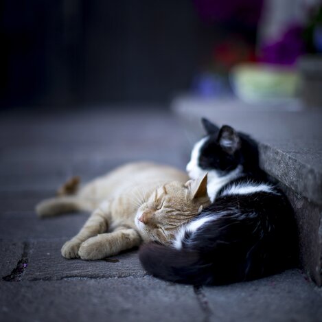 So soll Urlaub sein | © STG | Tom Lamm