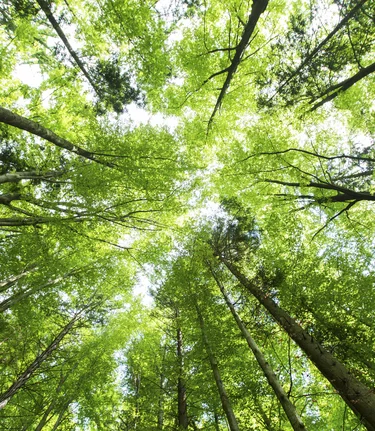 © STG | Harry Schiffer