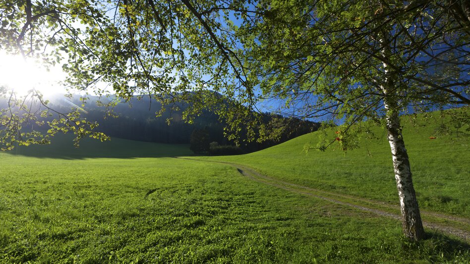© Steiermark Tourismus | Harry Schiffer | ETZ-Pilgrimage Europe SI-AT