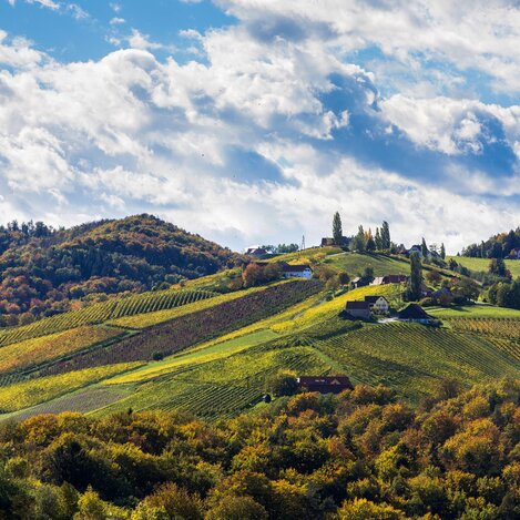 Südsteirische Weinstraße (Sernau/Gamlitz) | © STG | Harry Schiffer
