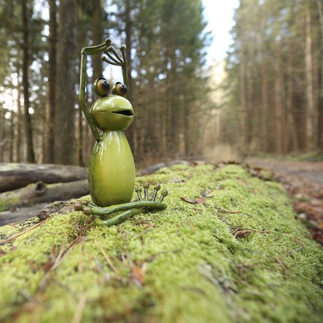 Steiermark-Frosch im Wald | © STG | Bernhard Loder