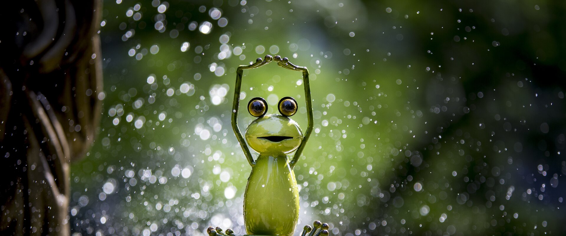Styrian frog in his element | © Steiermark Tourismus | Tom Lamm