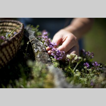 Frühlingsstimmung im Naturpark Mürzer Oberland | © TV Hochsteiermark | Tom Lamm