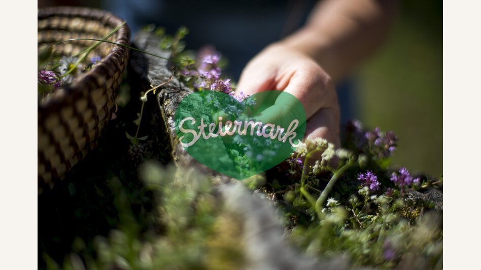 Frühlingsstimmung im Naturpark Mürzer Oberland | © TV Hochsteiermark | Tom Lamm