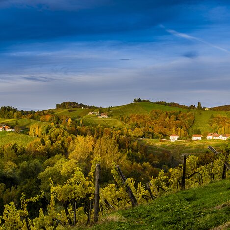 Südsteirische Weinstraße | © STG | pixelmaker.at