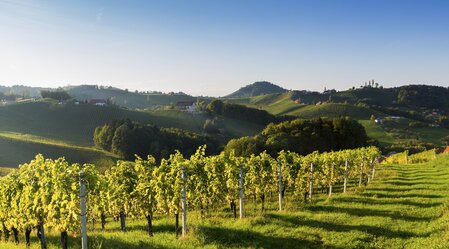 Südsteiermark | © STG | Harry Schiffer