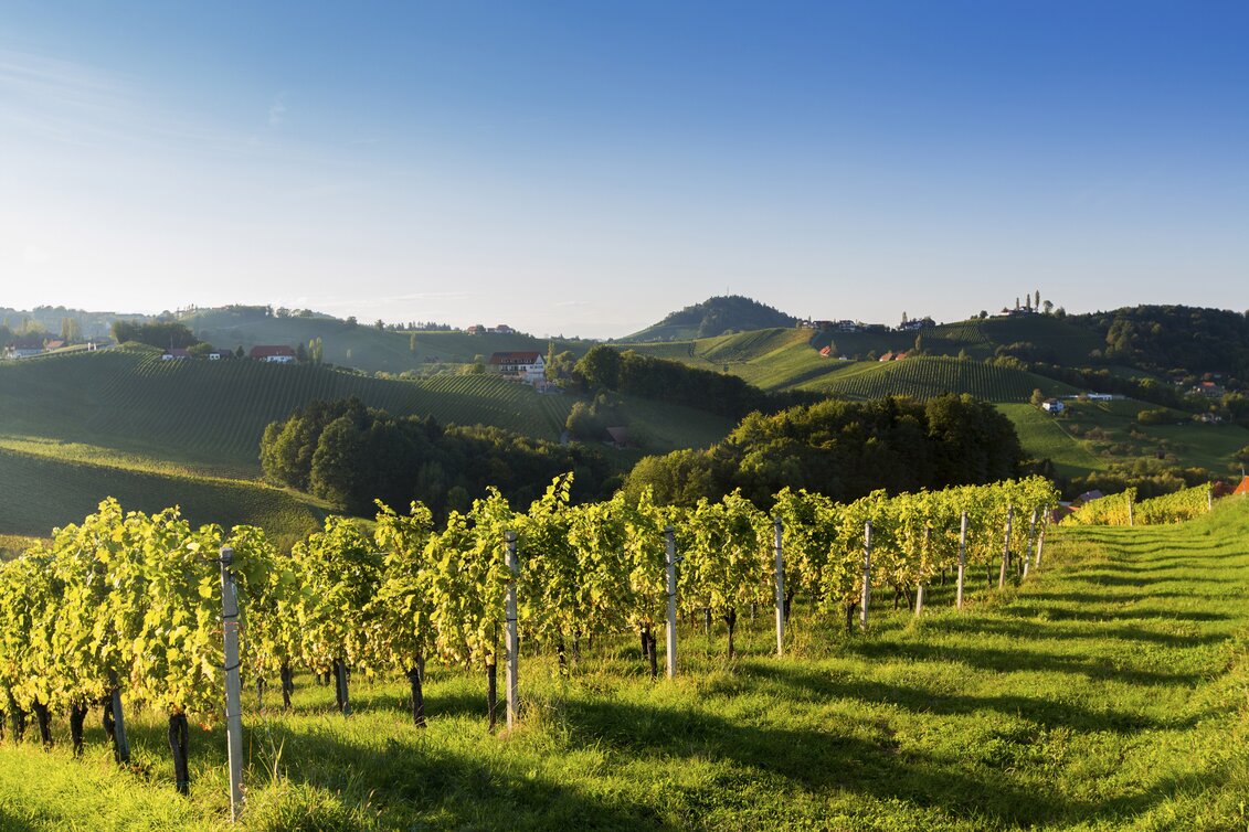 Südsteiermark | © STG | Harry Schiffer