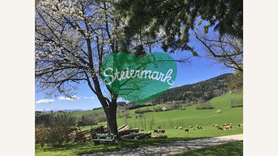 Zehenthof in Semriach: Urlaub am Bauernhof | © STG | Amra Candic