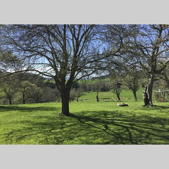 Zehenthof in Semriach: Urlaub am Bauernhof | © STG | Amra Candic