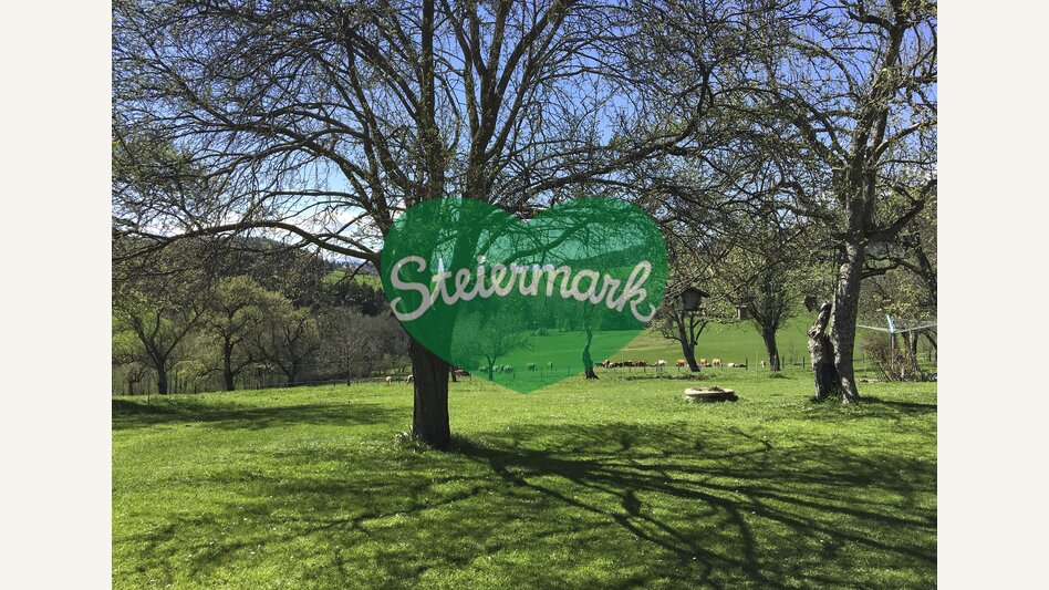 Zehenthof in Semriach: Urlaub am Bauernhof | © STG | Amra Candic