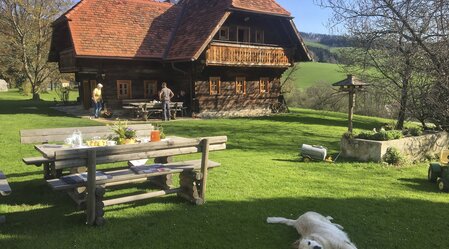 Urlaub mit Hund am Zehenthof, Semriach | © STG | Amra Candic