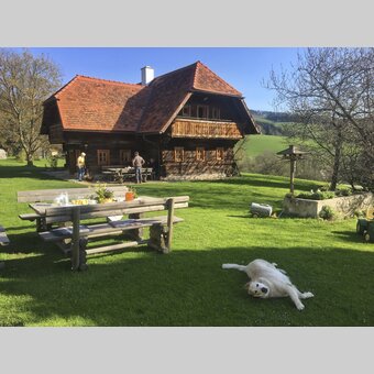 Urlaub mit Hund am Zehenthof, Semriach | © STG | Amra Candic