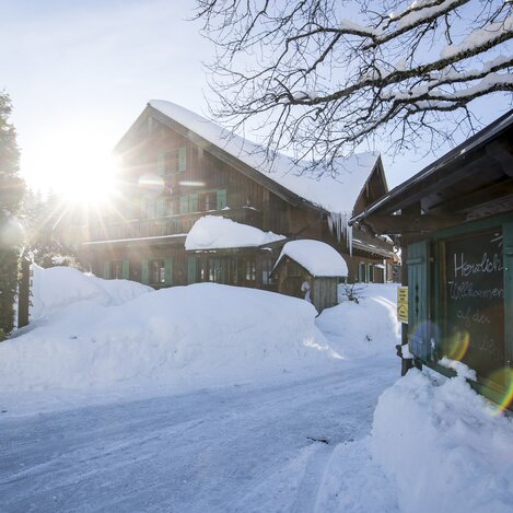 Die Blaa-Alm, Ausseerland - Salzkammergut | © STG | Tom Lamm