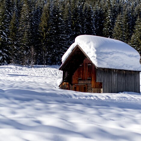 Ausseerland im Winter, auf dem Weg zur Blaa-Alm | © STG | Tom Lamm
