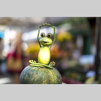 Steiermark-Frosch am Kaiser Josef Markt, Graz | © STG | Tom Lamm