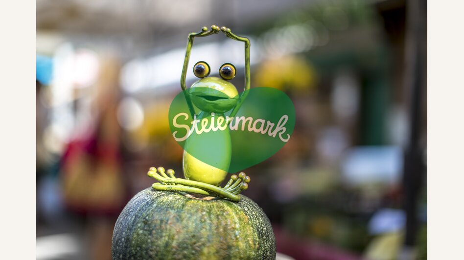 Steiermark-Frosch am Kaiser Josef Markt, Graz | © STG | Tom Lamm