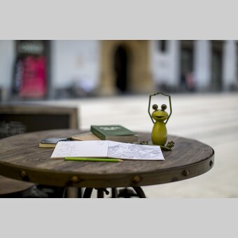 Steiermark-Frosch als Städteurlauber in Graz | © STG | Tom Lamm