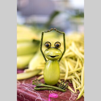 Steiermark-Frosch am Kaiser Josef Markt, Graz | © STG | Tom Lamm