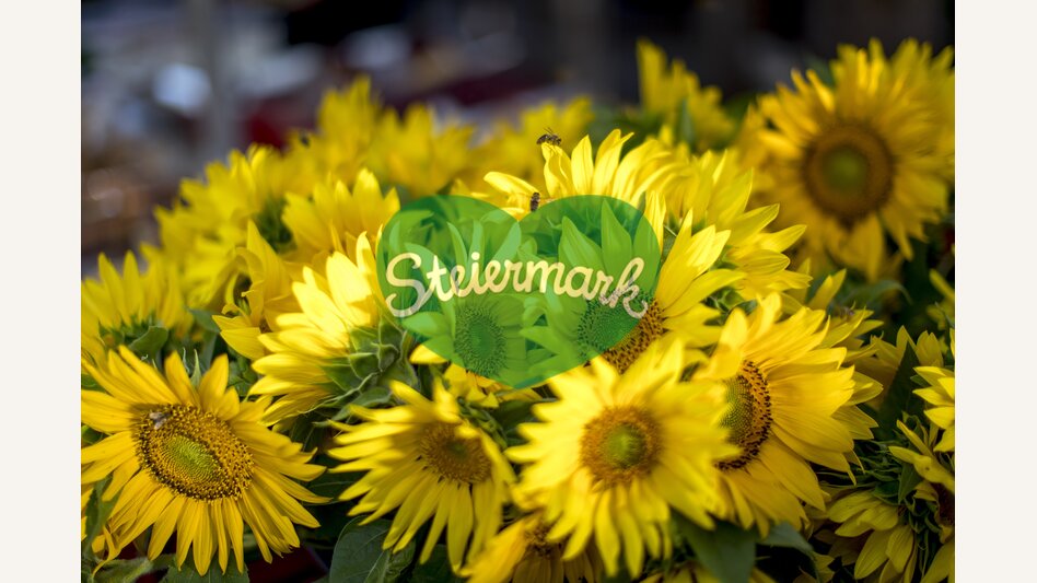 Blumenpracht am Kaiser Josef Markt, Graz | © STG | Tom Lamm
