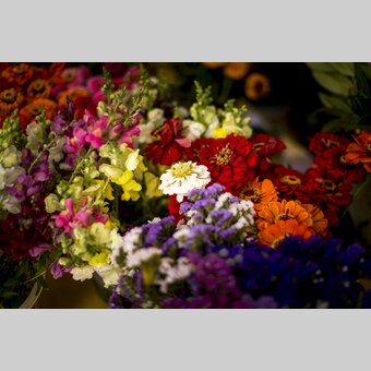 Blumenpracht am Kaiser Josef Markt, Graz | © STG | Tom Lamm