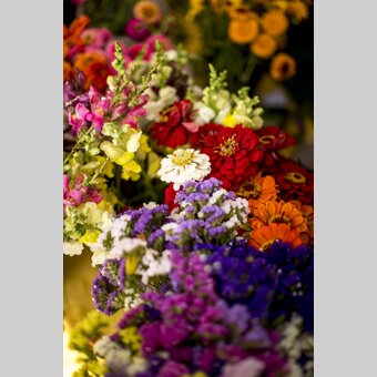 Blumenpracht am Kaiser Josef Markt, Graz | © STG | Tom Lamm