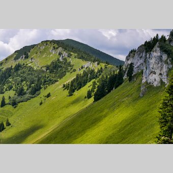 Auf der Veitsch | © STG | Manfred Polansky