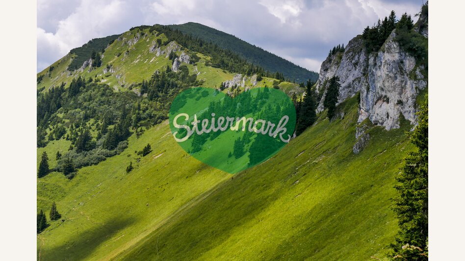 Auf der Veitsch | © STG | Manfred Polansky