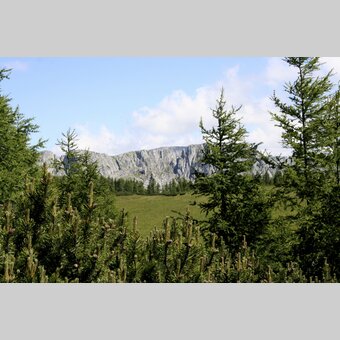 Blick auf den Hochschwab | © STG | Karlfranz Weinhandl