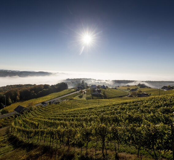 Weinlandschaft rund um Klöch im Morgenlicht, Südoststeiermark | © STG | Tom Lamm