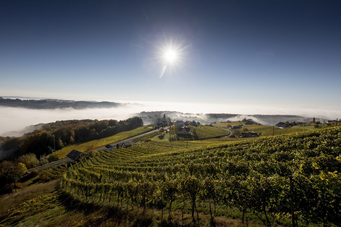 Weinlandschaft rund um Klöch im Morgenlicht, Südoststeiermark | © STG | Tom Lamm