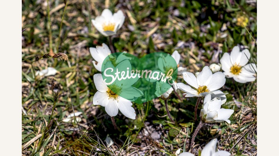 Auf der Schneealm im Naturpark Mürzer Oberland | © STG | Gleichweit-Nistelberger