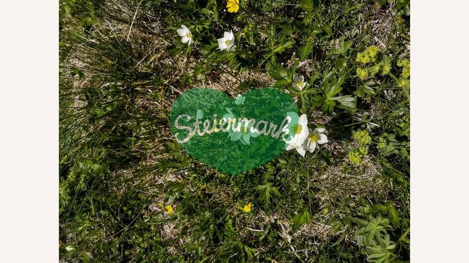 Auf der Schneealm im Naturpark Mürzer Oberland | © STG | Gleichweit-Nistelberger