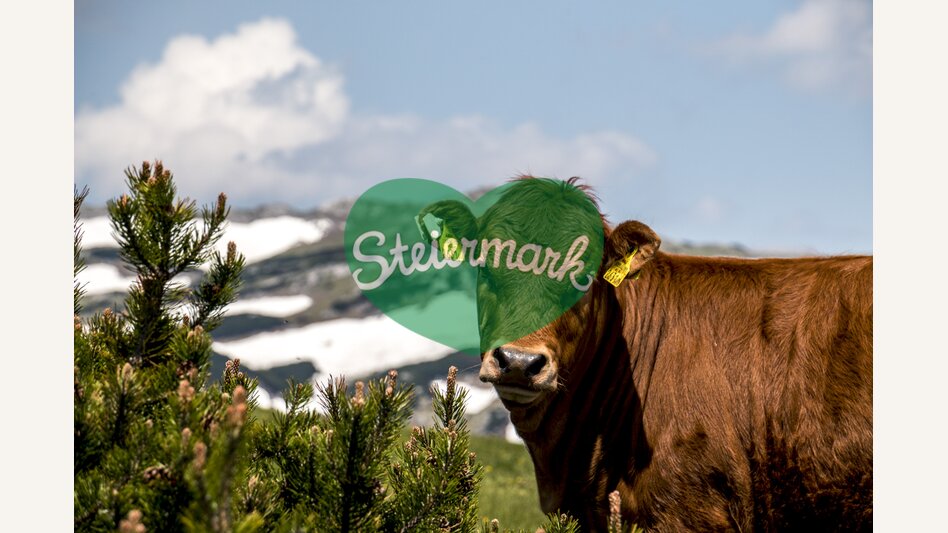 Aflenzer Bürgeralm | © STG | Gleichweit-Nistelberger