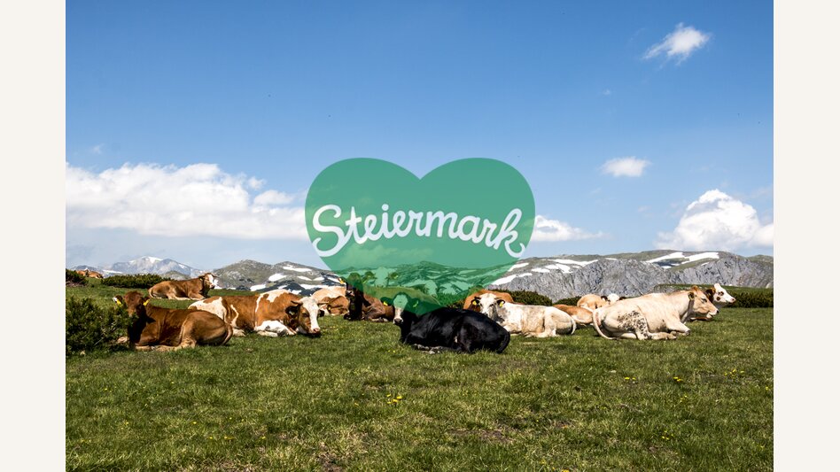 Aflenzer Bürgeralm | © STG | Gleichweit-Nistelberger