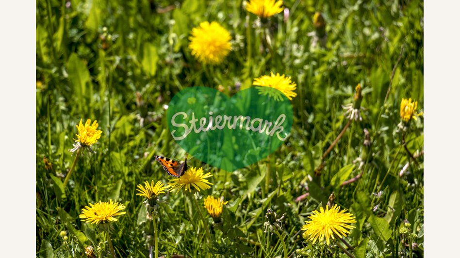 Grebenzen | © STG | Gleichweit-Nistelberger