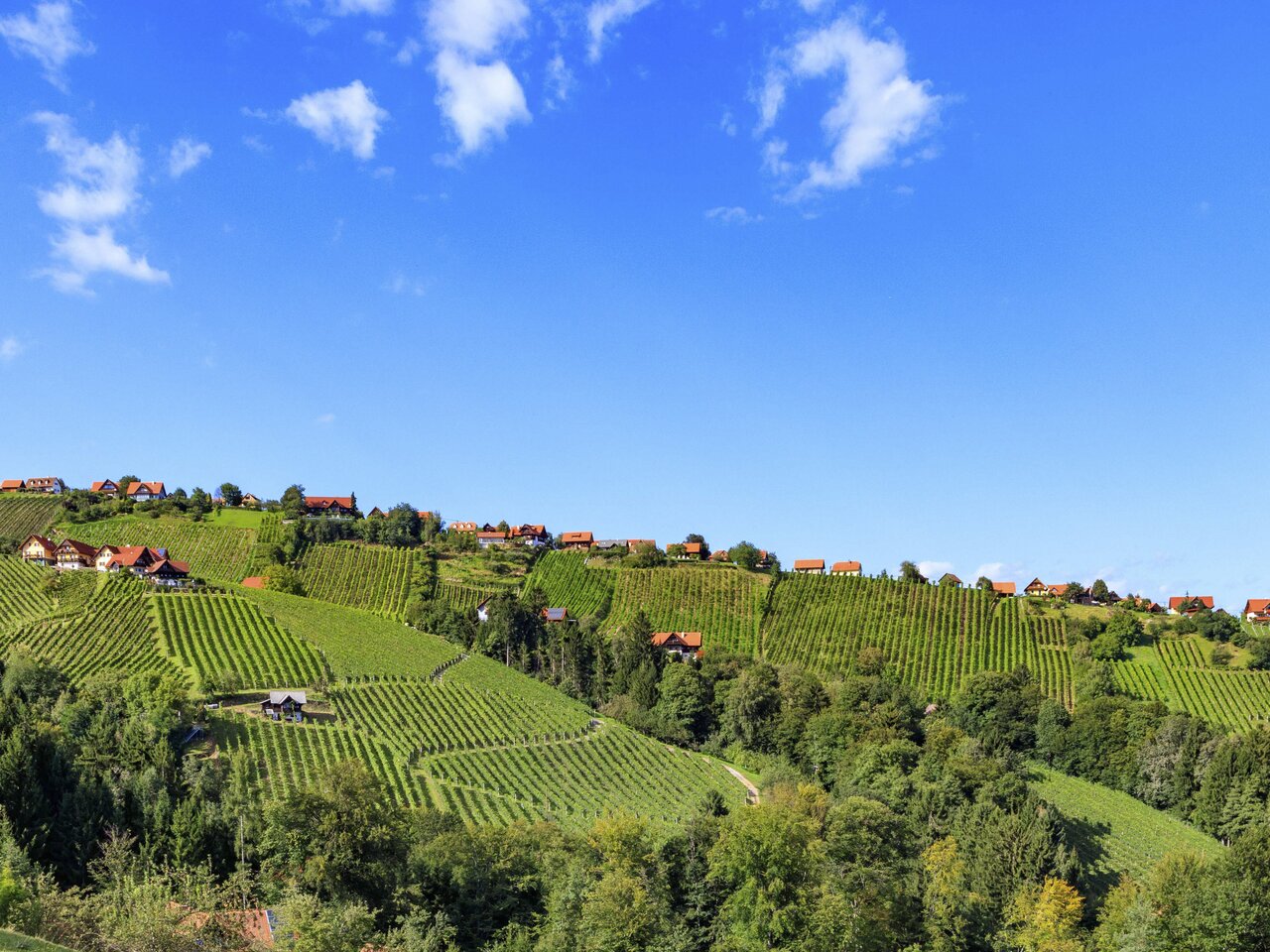 Hochgrail at Schilcherland | © Schilcherland Steiermark | Lupi Spuma