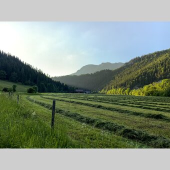 Am Mürztalradweg | © STG | Klein
