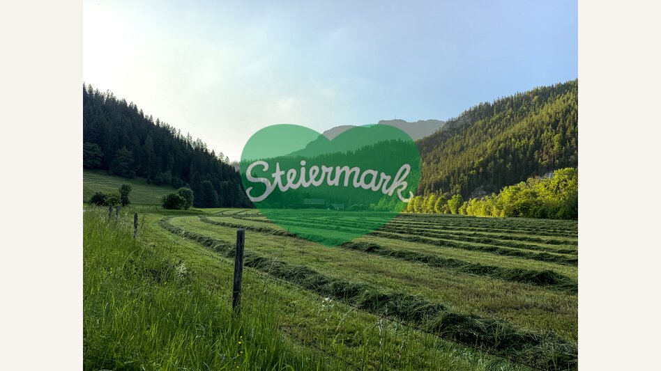 Am Mürztalradweg | © STG | Klein