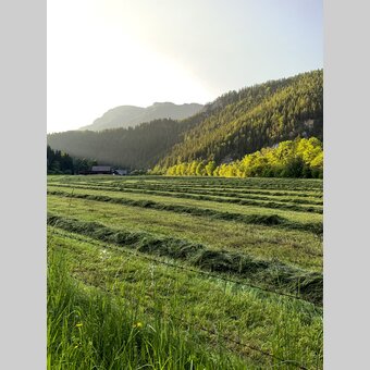 Am Mürztalradweg | © STG | Klein