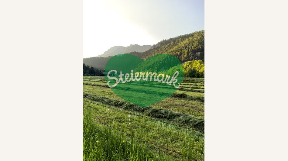 Am Mürztalradweg | © STG | Klein