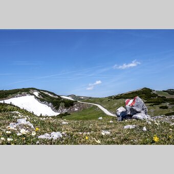 Auf der Schneealm im Naturpark Mürzer Oberland | © STG | Gleichweit-Nistelberger