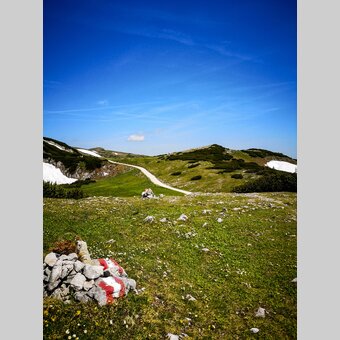 Auf der Schneealm im Naturpark Mürzer Oberland | © STG | Gleichweit-Nistelberger
