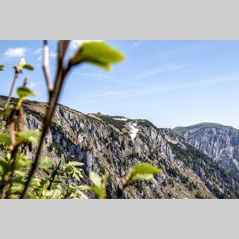 auf der Schneealm | © STG | Gleichweit-Nistelberger